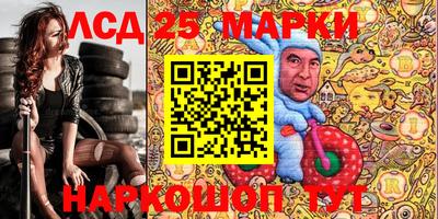 a pvp Новозыбков