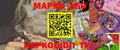 Альфа ПВП Новодвинск