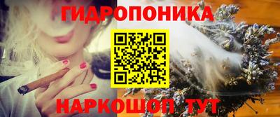 a pvp Новозыбков