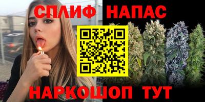 a pvp Новозыбков