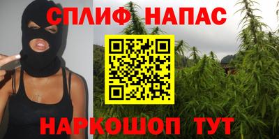 a pvp Новозыбков