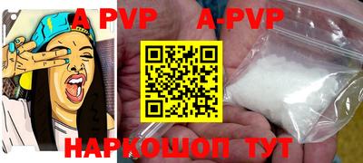 a pvp Новозыбков