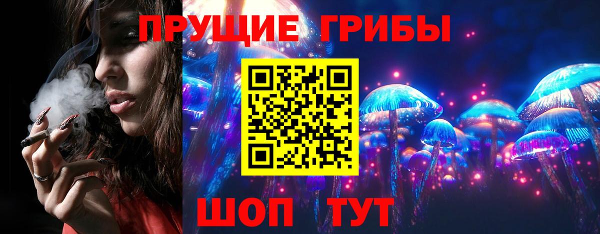 Семилуки  Псилоцибиновые грибы Psilocybe  Вход с VPN 