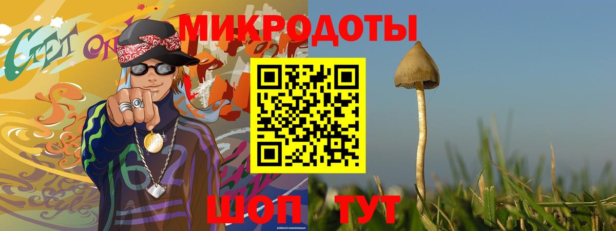 Псилоцибиновые грибы Cubensis Семилуки